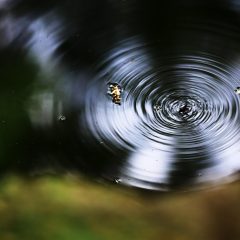 编辑在整理读者反馈邮件与纠错记录，屏幕上是一份标注了处理状态的清单